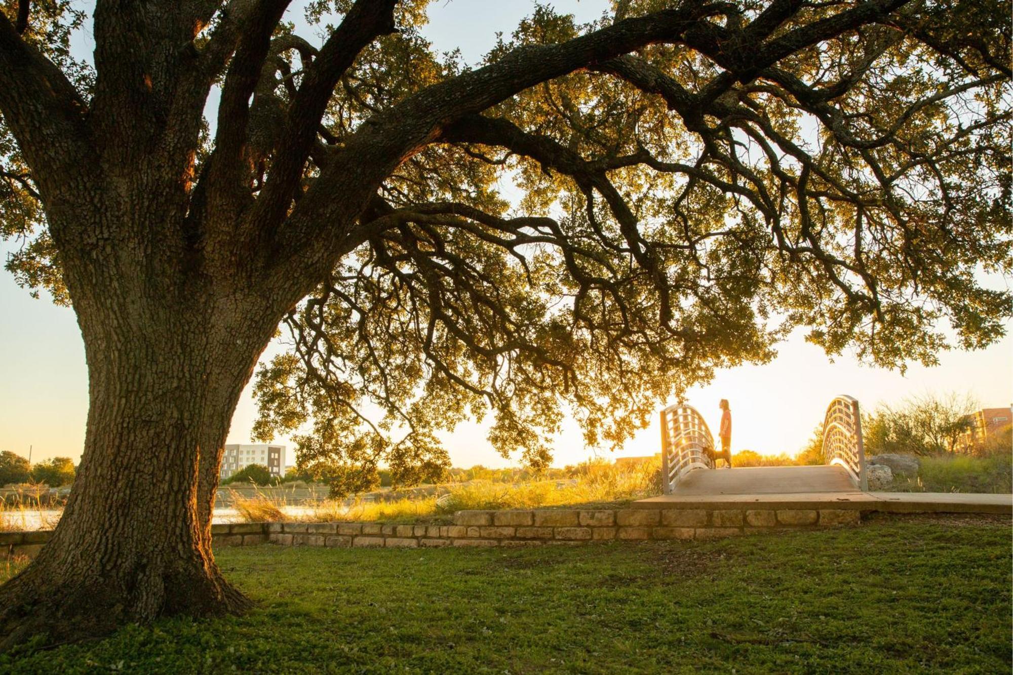 Springhill Suites By Marriott Austin Cedar Park Zewnętrze zdjęcie